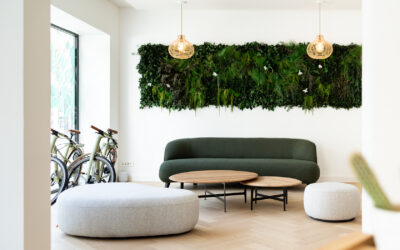 Les matériaux durables en immobilier : lesquels choisir pour un habitat sain ?