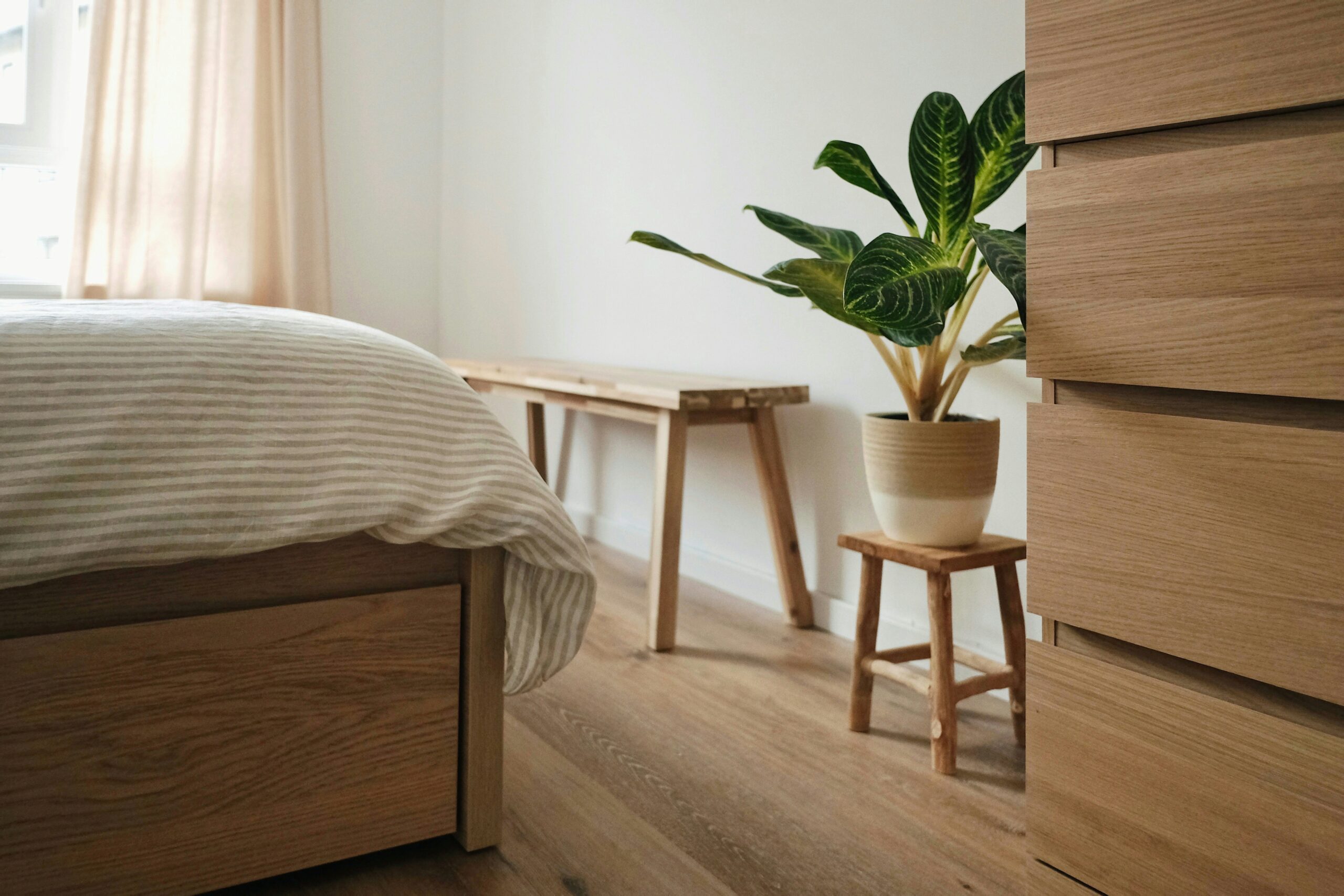 design-intérieur-rp-green-franchise-nationale
