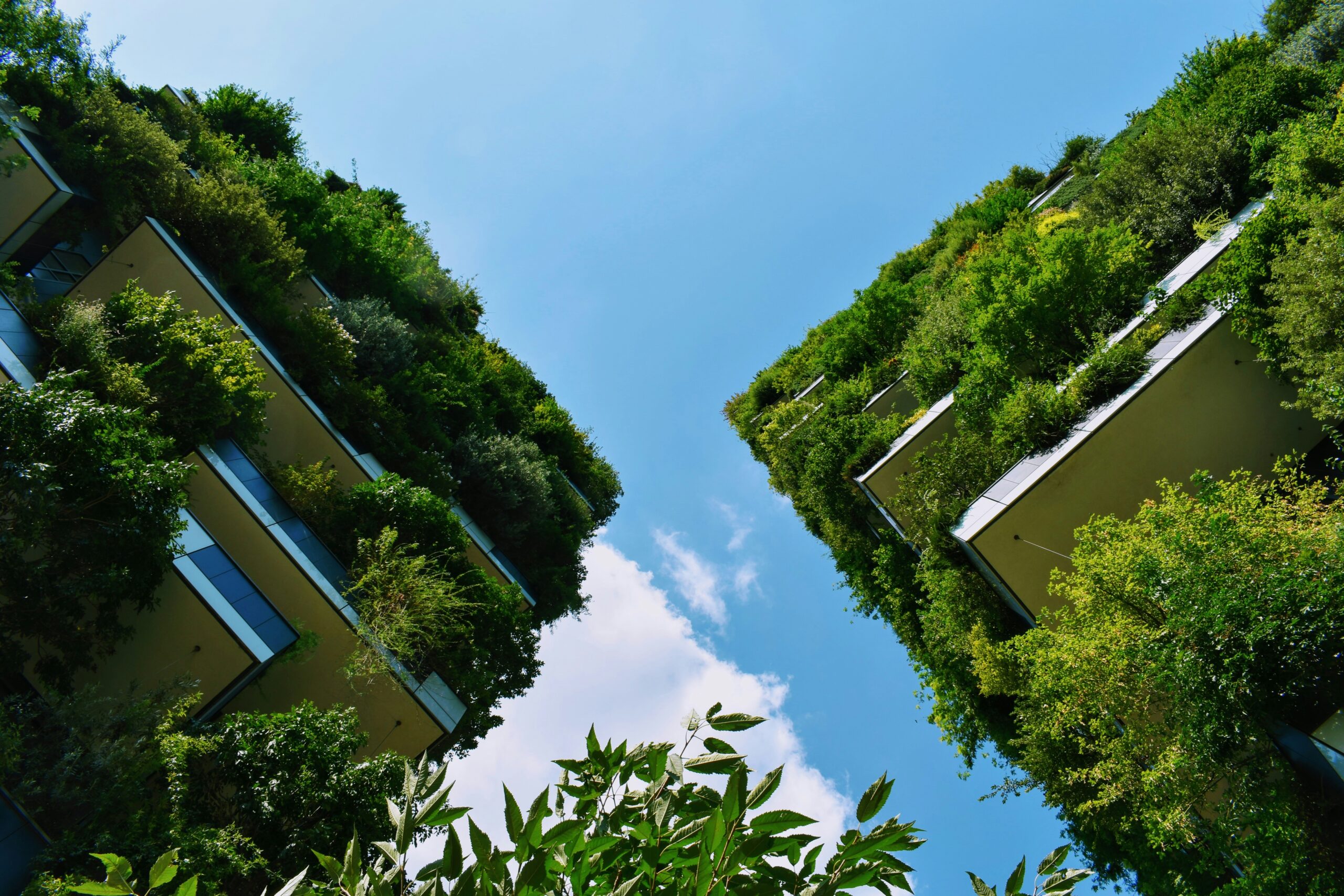 franchise-rp-green-reseau-agences-immobilieres-responsables
